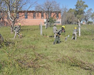 Jornada de mantenimiento de la calle cortafuego