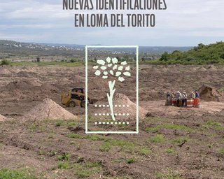 Nuevas identificaciones en la Loma del Torito