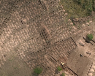 Hallazgos e identificaciones en Loma del torito. Material descargable