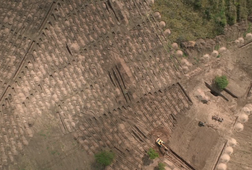 Hallazgos e identificaciones en Loma del torito. Material descargable