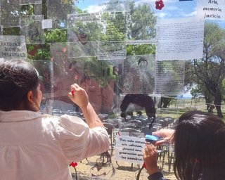 Ventanas.